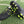 Load image into Gallery viewer, Lotto Marvel Firm Ground Junior Football