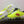 Load image into Gallery viewer, LOTTO FEURZAPURA 111 700 JNR BOOT GR/RED