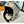 Load image into Gallery viewer, Canterbury Rugby Head Gear
