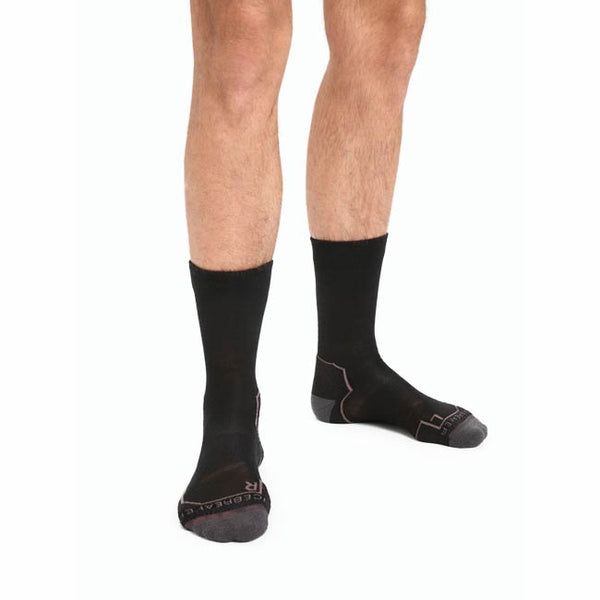 Icebreaker Men's Merino Hike+ Light Crew Socks