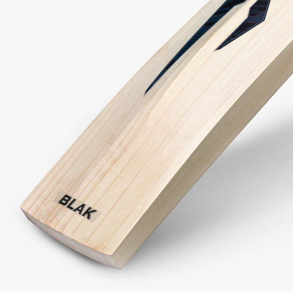 DSC Blak 55 English Willow Cricket Bat - Short Handle