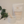 Load image into Gallery viewer, SO Cleansing Clay Face Mask
