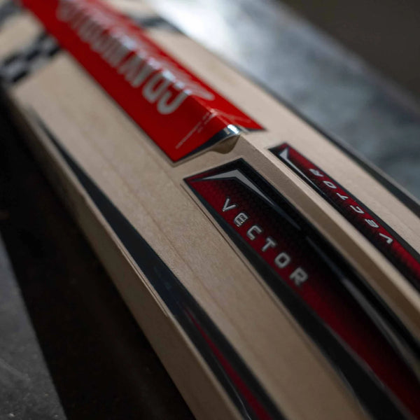 Gray Nicolls Vector Force Junior Bat (Ready Play)