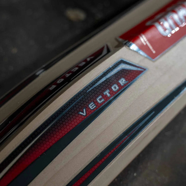 Gray Nicolls Vector Force Junior Bat (Ready Play)