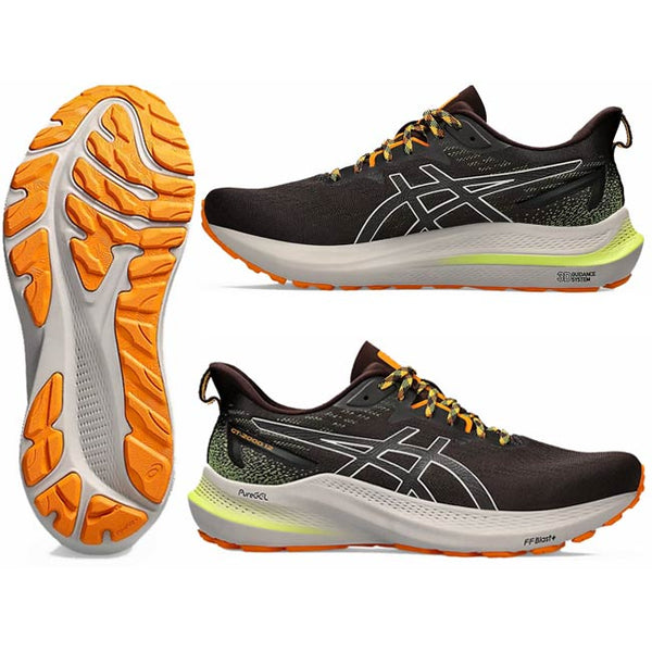 Asics Men's GT2000 12 Trail D Width