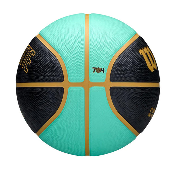 Wilson NBA City Edition Charlotte Hornets Basketball