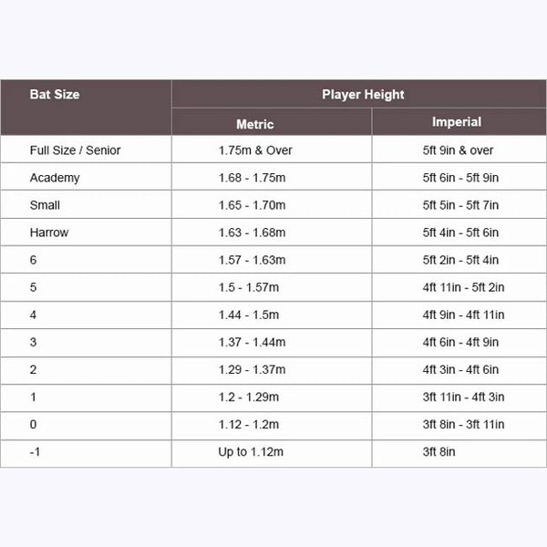 Gunn and Moore Junior Hypa DXM Premier Bat
