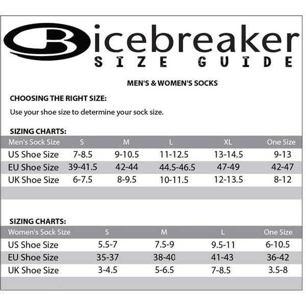 Icebreaker Men's Merino Multisport Light Mini Socks