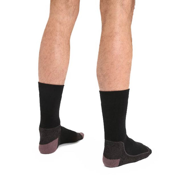 Icebreaker Men's Hike + Medium Cushion Crew Socks
