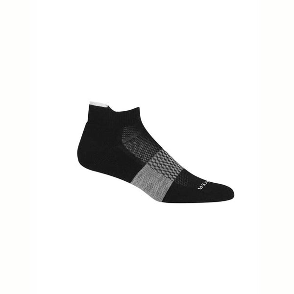 Icebreaker Men's Merino Multisport Light Micro Socks