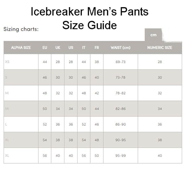 Icebreaker Men's Merino 260 Tech Thermal Leggings