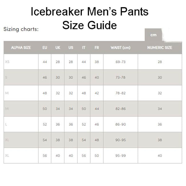 Icebreaker Men's Merino 260 Tech Thermal Leggings
