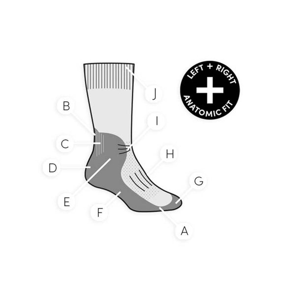 Icebreaker Men's Hike + Light Cushion Mini Socks