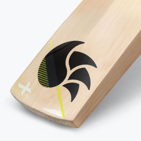 DSC XLite 35 English Willow Cricket Bat - Short Handle