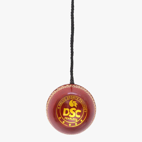 DSC Leather Hanging Training Ball
