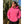 Load image into Gallery viewer, Mint Activewear Tidal Hoodie – Pink
