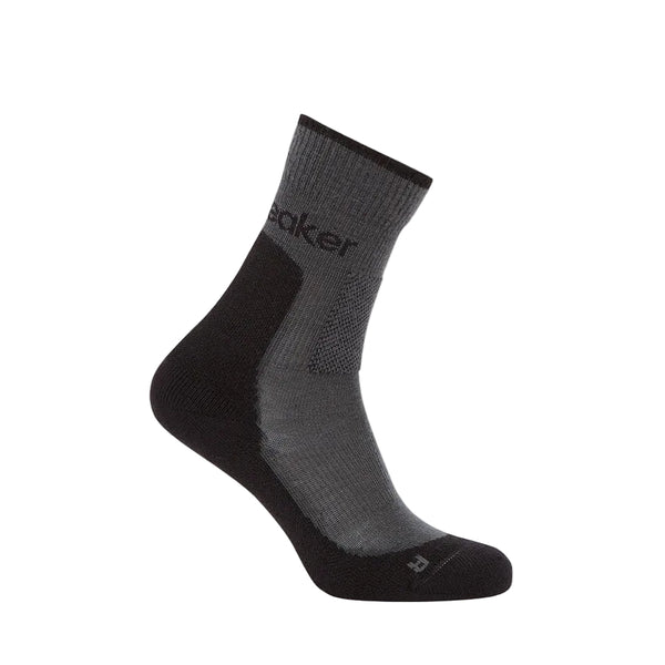 Icebreaker Women’s Hike+ Medium Cushioned Crew Sock
