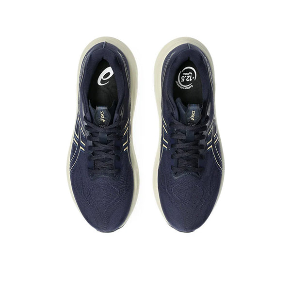 Asics GT-2000 14 (2E WIDE) Men’s Running Shoe