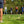 Load image into Gallery viewer, Formula Sports Kubb
