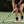 Load image into Gallery viewer, Grays GX 2000 Hockey Stick – size 37.5
