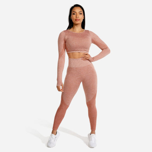 Squat Wolf Marl Seamless Leggings CL 2023