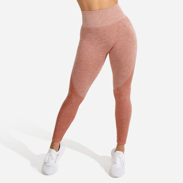Squat Wolf Marl Seamless Leggings CL 2023