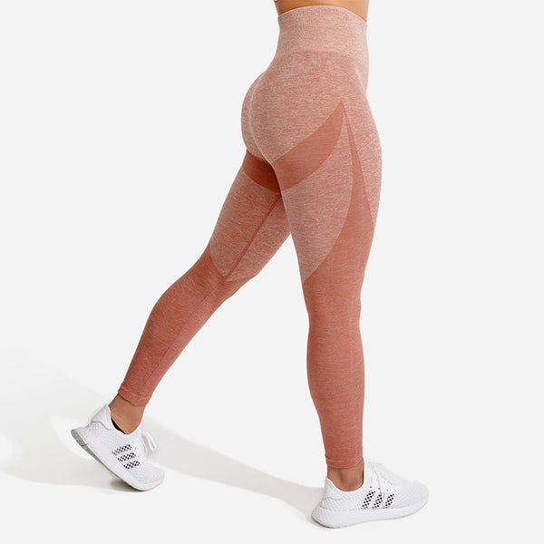 Squat Wolf Marl Seamless Leggings CL 2023