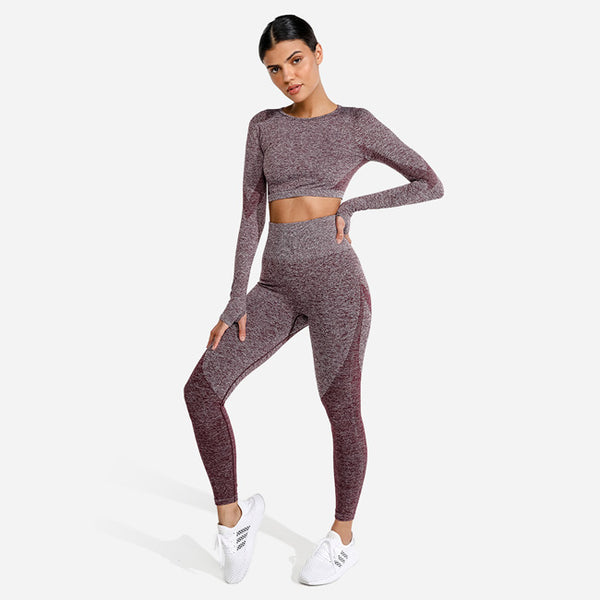 Squat Wolf Marl Seamless Leggings CL 2023
