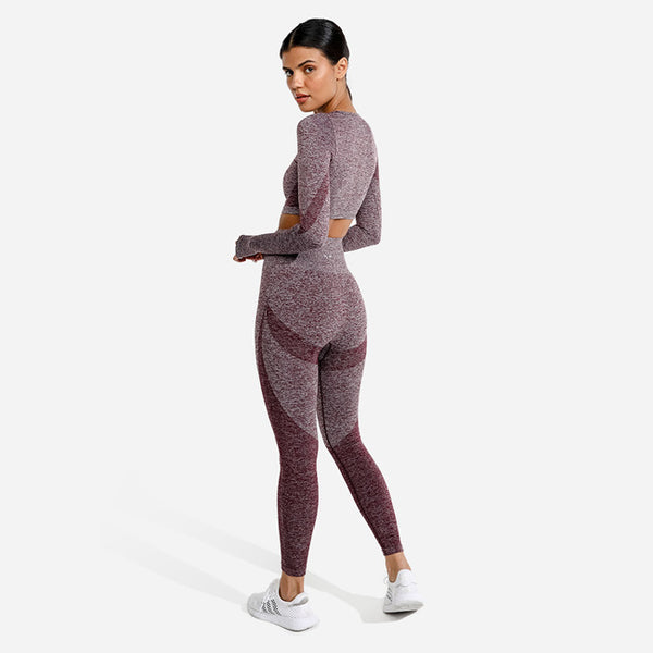 Squat Wolf Marl Seamless Leggings CL 2023