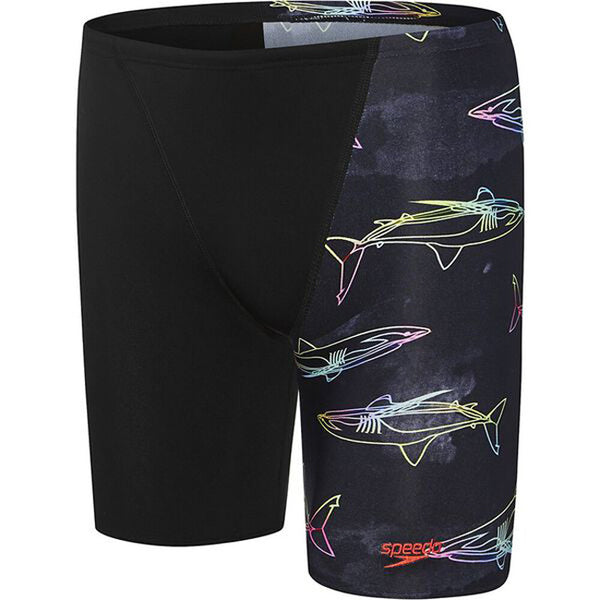 Speedo Boys Rainbow Shark Jammer