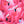 Load image into Gallery viewer, SPEEDO GIRLS CANDY FLAMINGOS LEADERBACK
