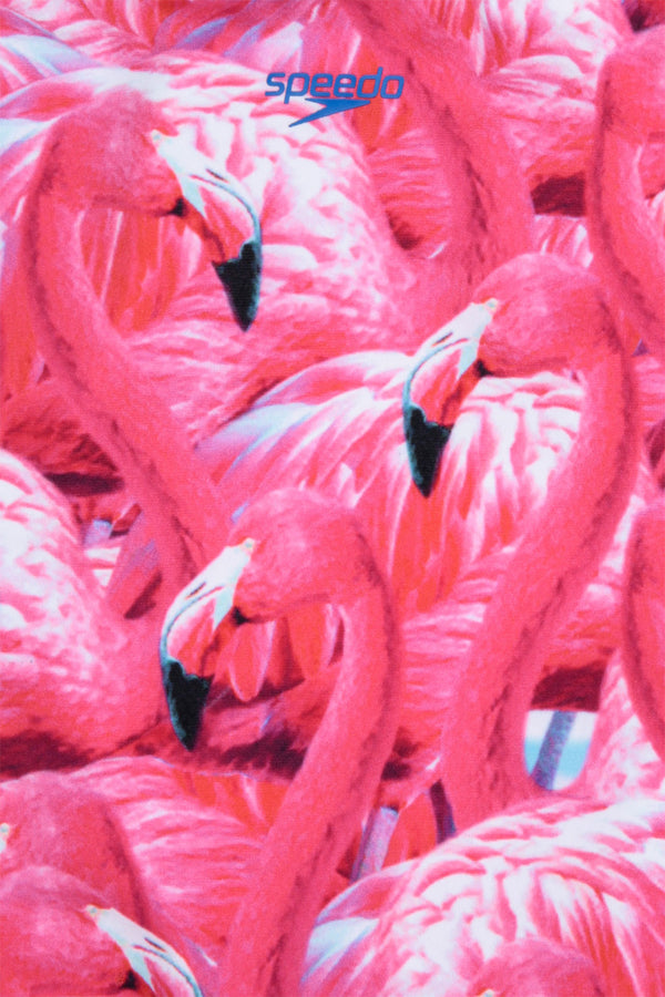 SPEEDO GIRLS CANDY FLAMINGOS LEADERBACK