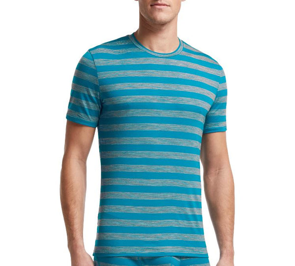 ICEBREAKER MEN'S ANATOMICA STRIPE CREWE