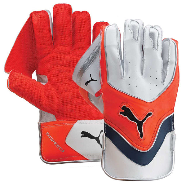 PUMA EVOSPEED 3 WICKET KEEP GLOVES 2015