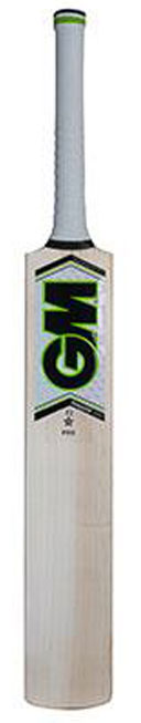 GM PARAGON F2 PRO ENGLISH WILLOW BAT