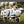 Load image into Gallery viewer, Lachies Laces Yellow
