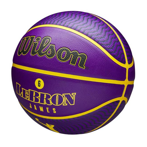 Wilson NBA Player Icon Basketball Size 7