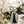 Load image into Gallery viewer, Lachies Laces Yellow
